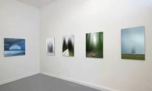 Ellen-Jantzen-bruno-david-gallery