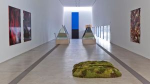 Pulitzer-Arts-Foundation_8-1-2014