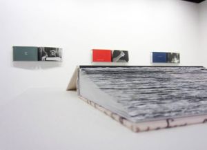 Buzz-Spector_Bruno-David-Gallery_9-5-14