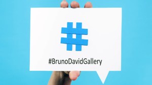 #BrunoDavidGallery_2014_small