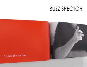 Buzz-Spector_Bruno-David-Gallery
