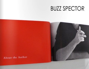 Catalogue-Cover_Bruno-David-Gallery