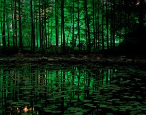 Lisa-K-Blatt_Bruno-David-Gallery