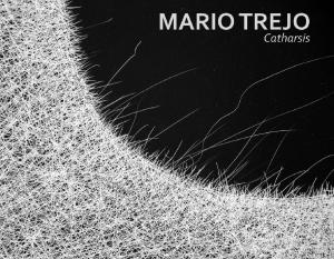 Mario-Trejo_Bruno-David-Gallery