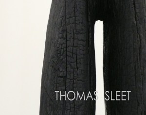 Thomas-Sleet_cover-v1_2014_Bruno-David-Gallery