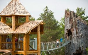 Charles-P-Reay_WildWalk_Bruno-David-Gallery_3