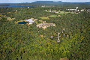 Charles-P-Reay_WildWalk_Bruno-David-Gallery_4