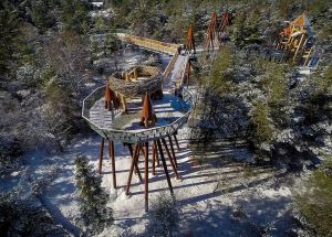 Charles-P-Reay_WildWalk_Bruno-David-Gallery_5