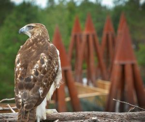 Charles-P-Reay_WildWalk_Bruno-David-Gallery_6