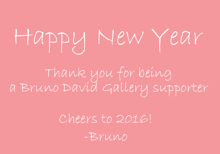happy-new-year_2016_Bruno-David-Gallery