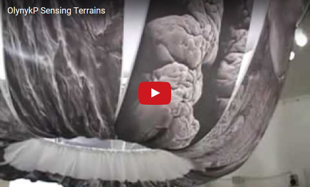 Patricia-Olynyk_Bruno-David-Gallery_StLouisan_2016