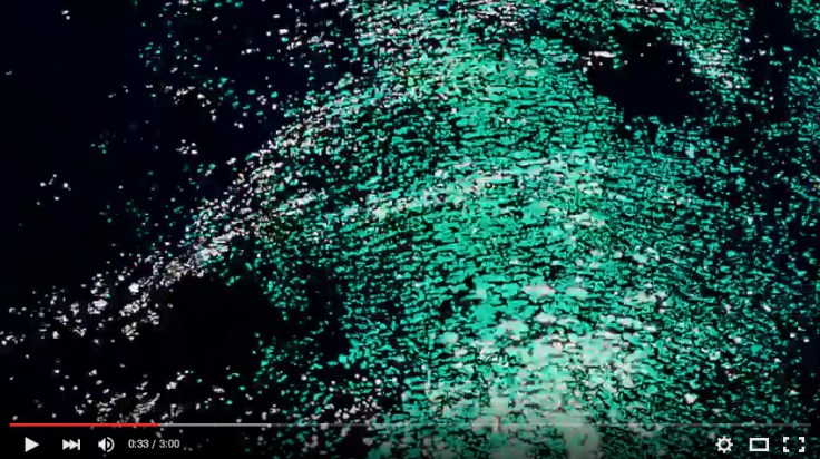 Zlatko-Cosic_Bruno-david-Gallery_3-30-2016