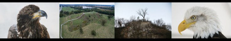 Stanislav-Converger-video-4-stills-composite