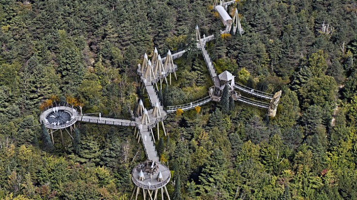 Charles-P-Reay_WildWalk_Bruno-David-Gallery_6-20-2016