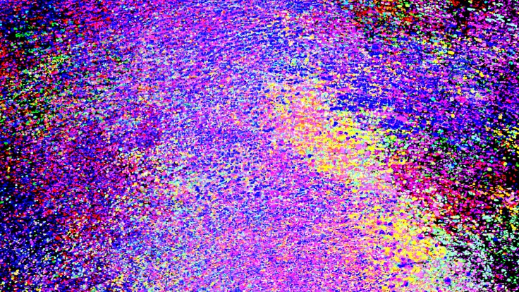 zlatko-cosic_bruno-david-gallery_11-5-2016