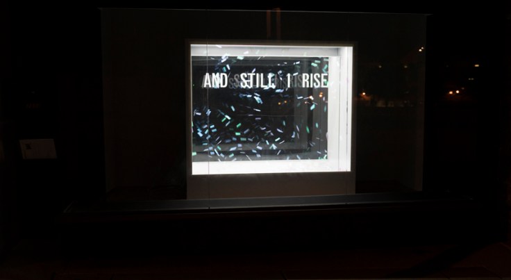 Bunny-Burson_Bruno-David-Gallery_850