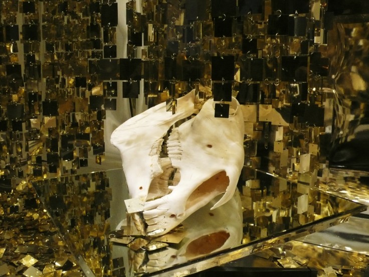 Andrea-Stanislav_Bruno-David-Gallery_window-on-forsyth_C