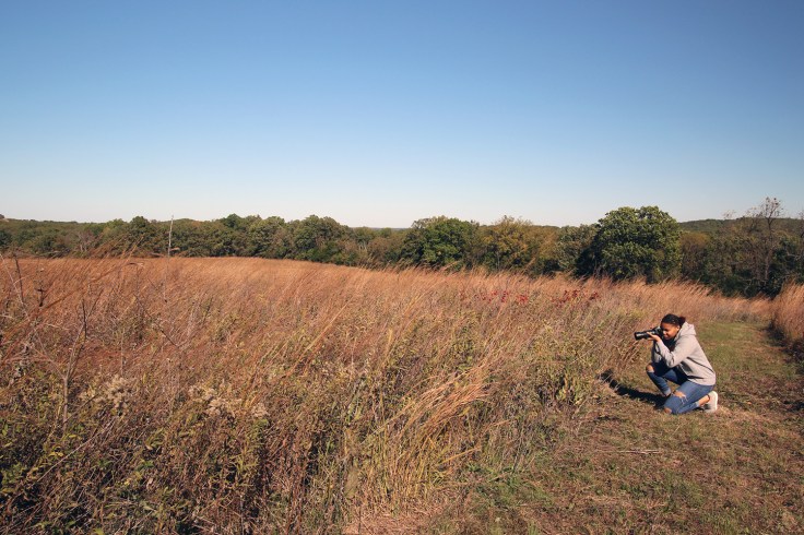 story-stichers_prairie